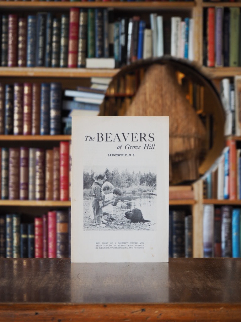 The Beavers of Grove Hill, Barnesville, N.B.