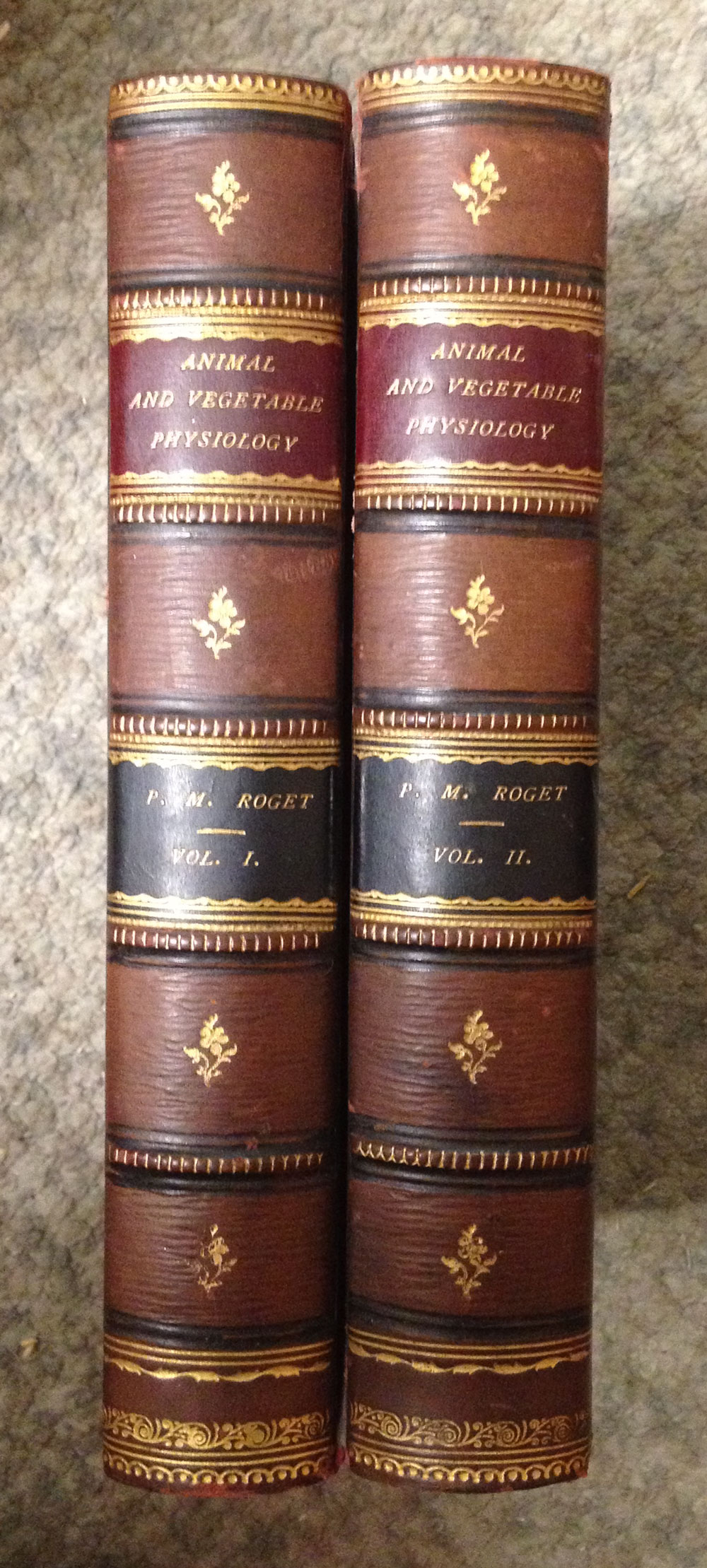 Animal and Vegetable Physiology, Considered with Reference to Natural Theology. First Edition