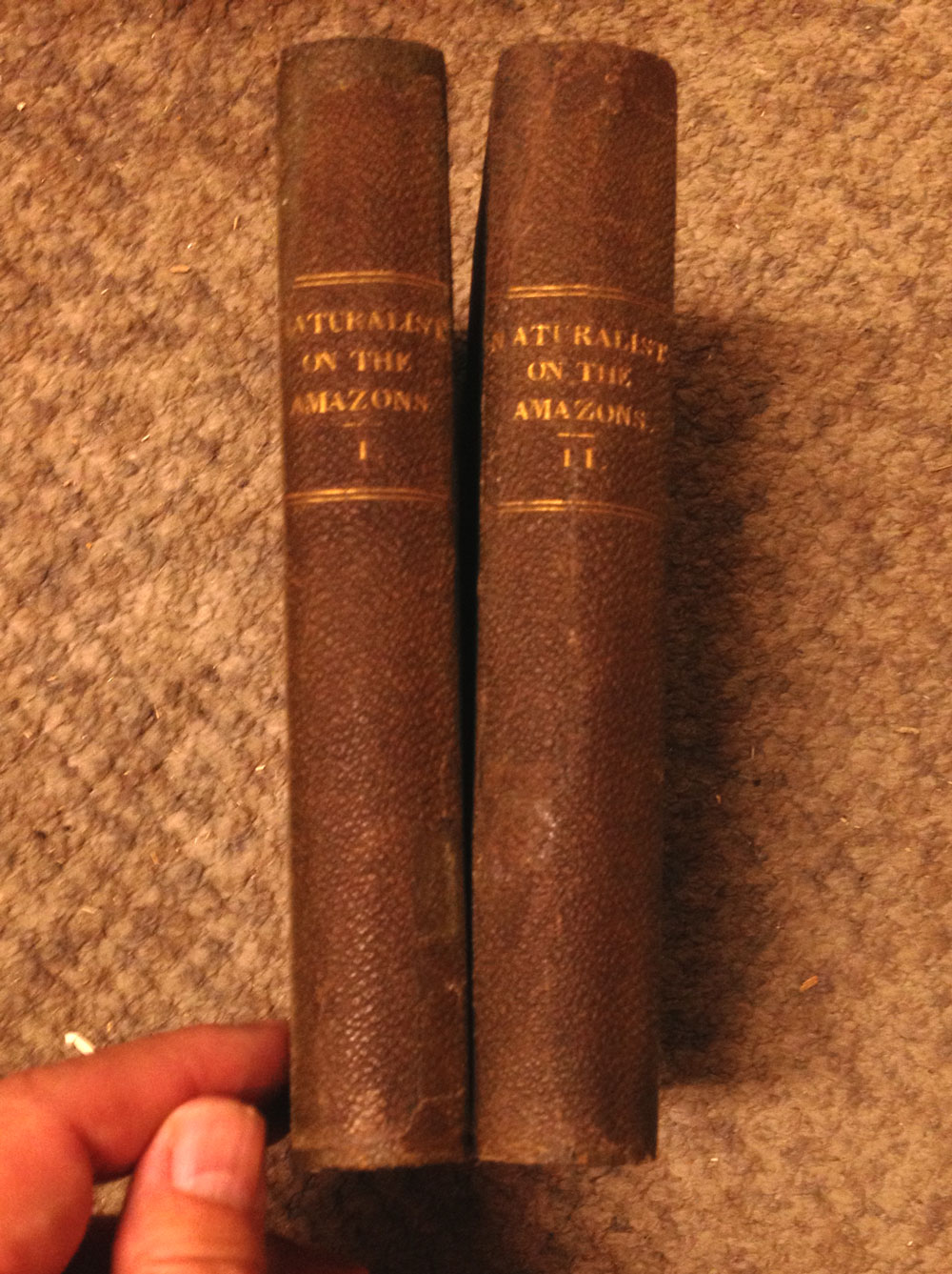 Image for Naturalist on the River Amazons, A Record of Adventures, Habits of Animals,Sketches of Brazilian and Indian Life, and Aspects of Nature under the Equ ator, during Eleven Years of Travel. First Edition, original cloth.
