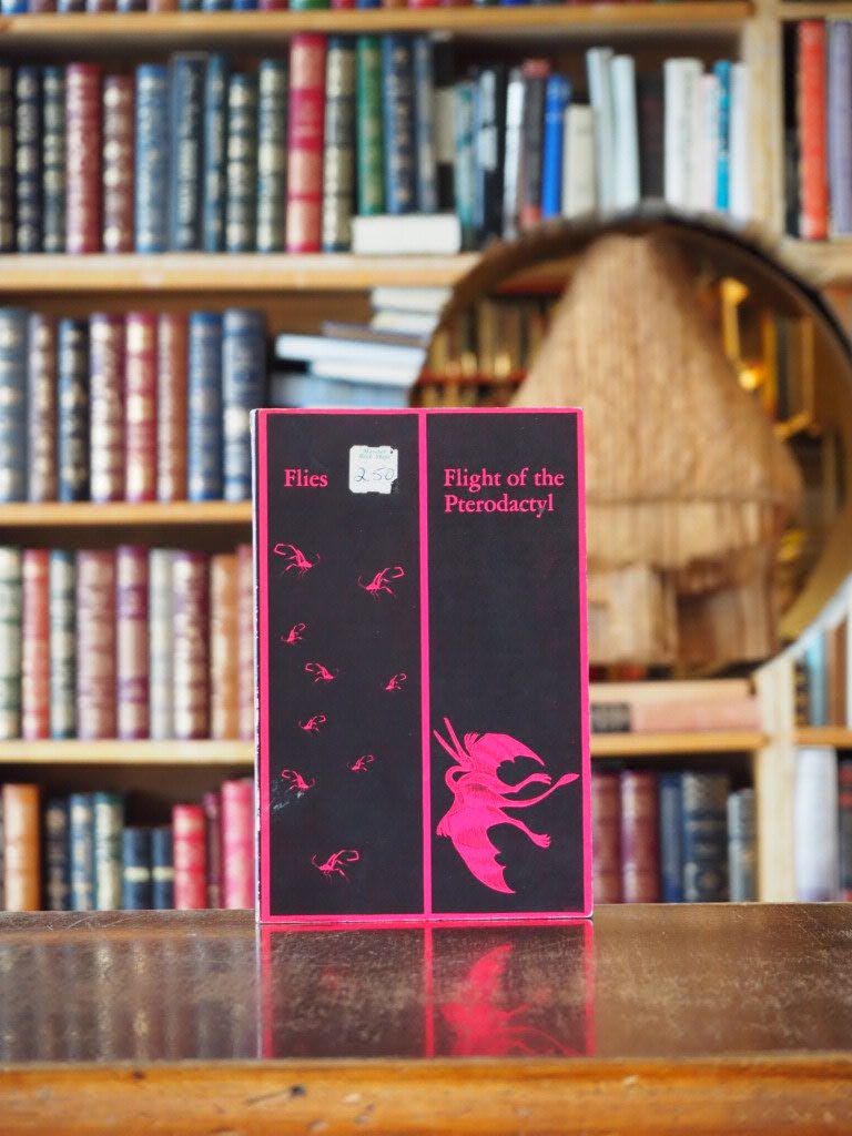 Flies / Flight of the Pterodactyl