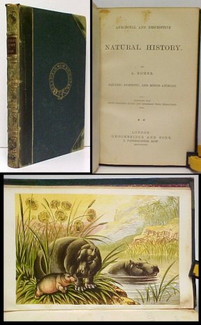 Anecdotal and Descriptive Natural History: Aquatic, Domestic, and Minor Animals. Illustrated with Eight Coloured Plates and Numerous Wood Engravings