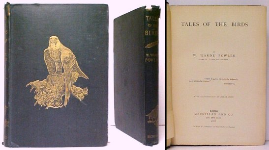 Tales of the Birds