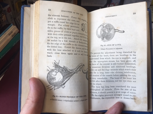 Image for A Treatise on the Eye : Containing Discoveries of the Causes of Near and Far Sightedness, and of the Affections of the Retina, with Remarks on the Use of Medicines as Substitutes for Spectacles. Second Edition