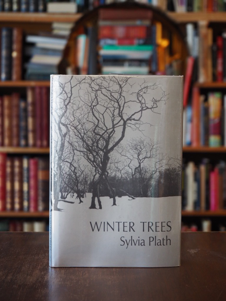 Winter Trees.