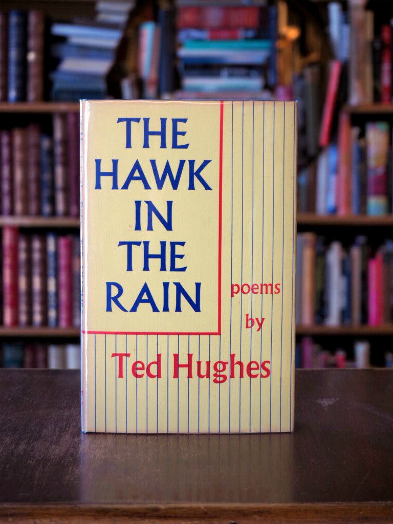 The Hawk in the Rain.