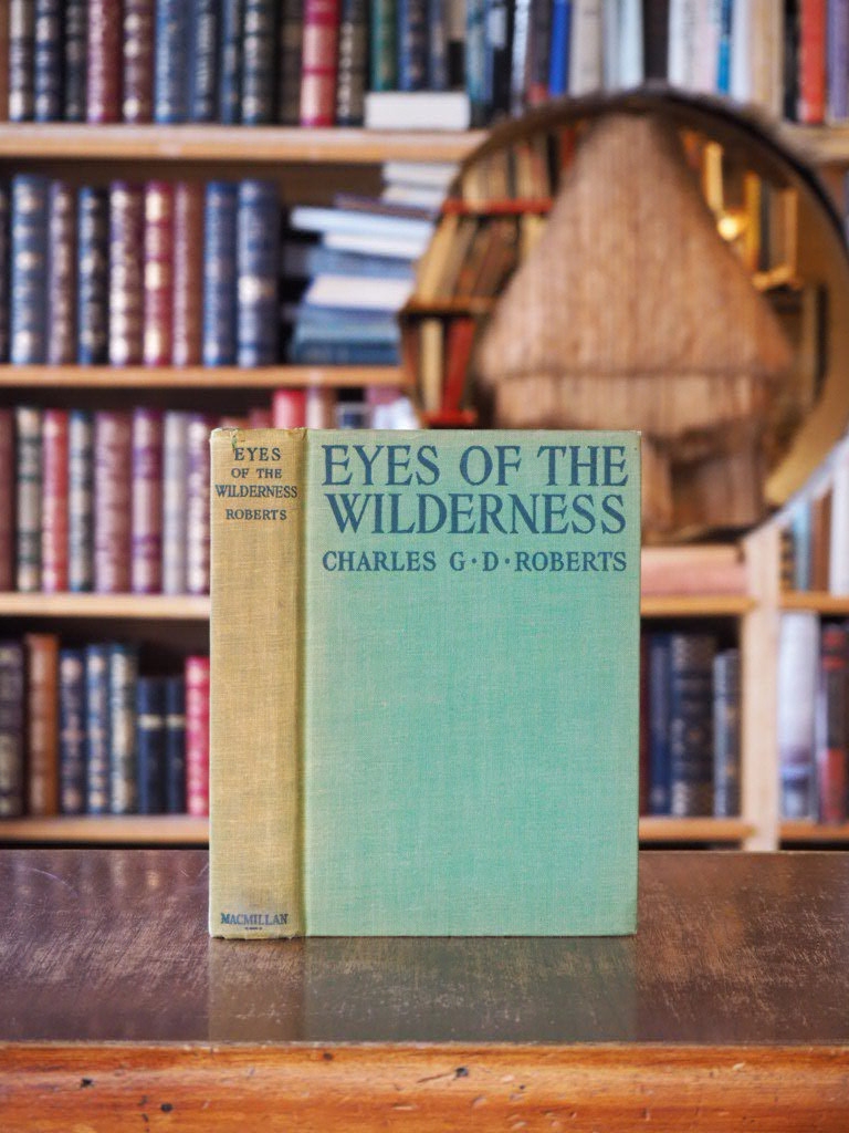 Eyes of the Wilderness. 1st ed