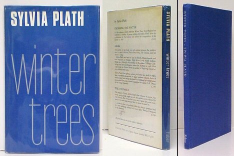 Image for Winter Trees. 1st UK in dj