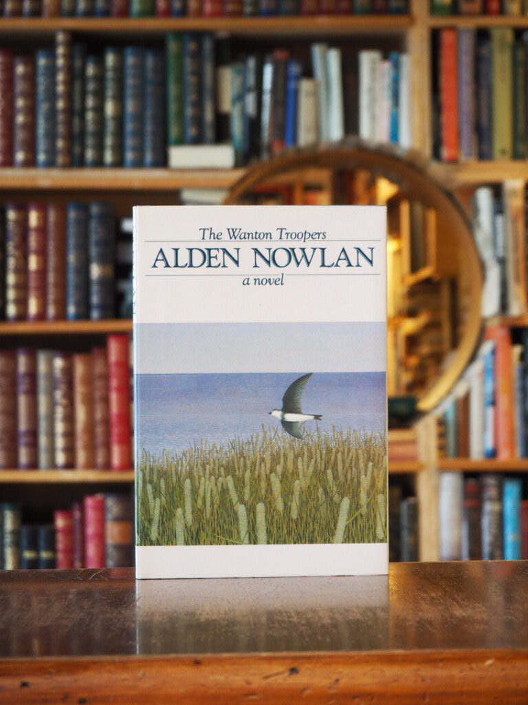 The Wanton Troopers : a Novel. 1st edition