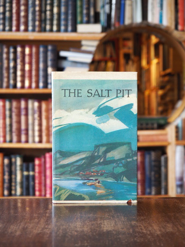 The Salt Pit : Stories.