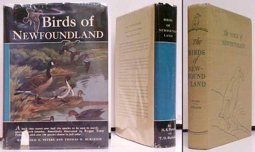 Birds of Newfoundland. in chipped dj