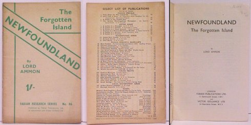 Image for Newfoundland, the Forgotten Island