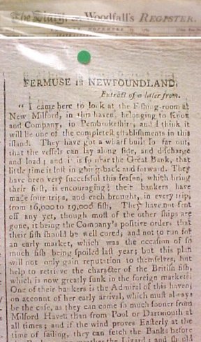 Fermuse in Newfoundland : An article in The Diary; or, Woodfall's Register,No.200, Tuesday, November 17, 1789