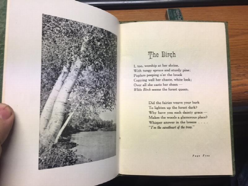 Image for Silhouette of the Forest : Souvenir of New Brunswick. First Edition Silhouette of the Forest : Souvenir of New Brunswick. First Edition