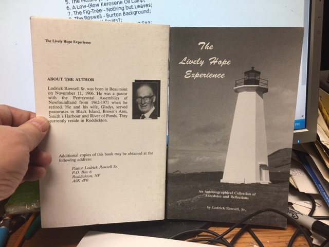 The Lively Hope Experience : An Autobiographical Collection of Anecdotes and Reflections. First Edition.