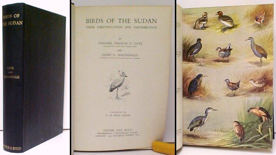 Image for Birds of the Sudan : Their Identification and Distribution. First Edition Birds of the Sudan : Their Identification and Distribution. First Edition