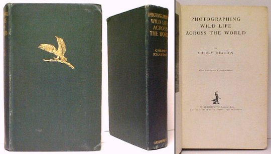 Photographing Wild Life Across the World