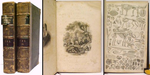Image for History of the Earth and Animated Nature. 2 vols. half leather. History of the Earth and Animated Nature. 2 vols. half leather.