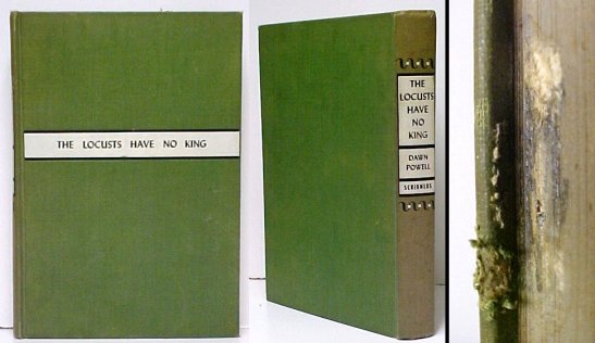 Locusts Have No King. no dj.