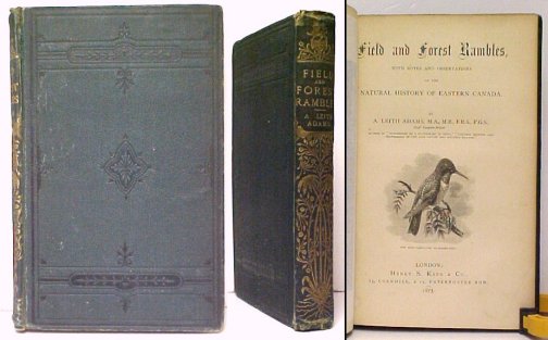Image for Field and Forest Rambles, With Notes on the Natural History of Eastern History of Eastern Canada