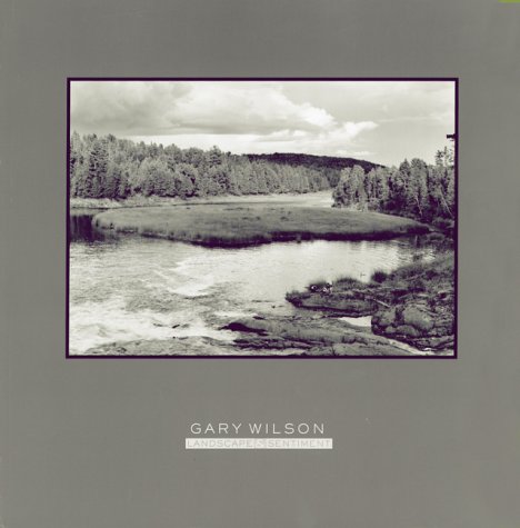 Landscape & Sentiment