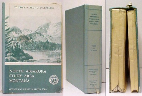 Mineral Resources of the North Absaroka Wilderness Study Area, Park and Sweet Grass Counties, Montana