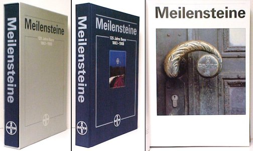 Image for Meilensteine. in slip case Meilensteine. in slip case