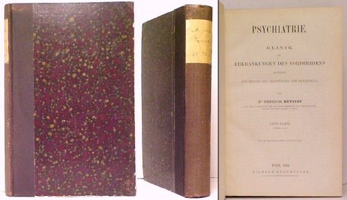 Psychiatrie. Klinik der Erkrankungen des Vorderhirns bergndet auf dessen Bau, Leistungen und Ernhrung. First Edition 2 volumes in one
