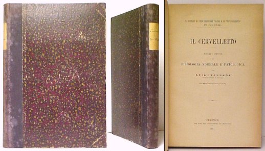 Image for Il Cervelletto : Nouvi Studi di Fisologa Normale e Patologica. First Edition Il Cervelletto : Nouvi Studi di Fisologa Normale e Patologica. First Edition