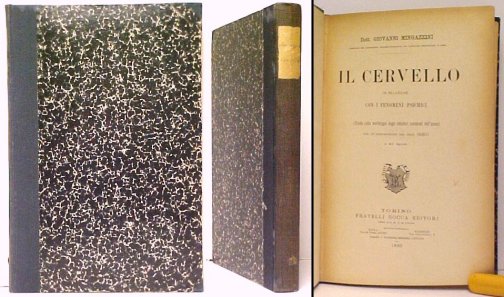 Image for Il Cervello in Relazione con i Fenomeni Psichici Il Cervello in Relazione con i Fenomeni Psichici