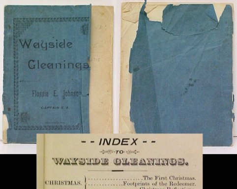 Image for Wayside Gleanings Wayside Gleanings