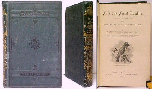 Image for Field and Forest Rambles, With Notes on the Natural History of Eastern History of Eastern Canada