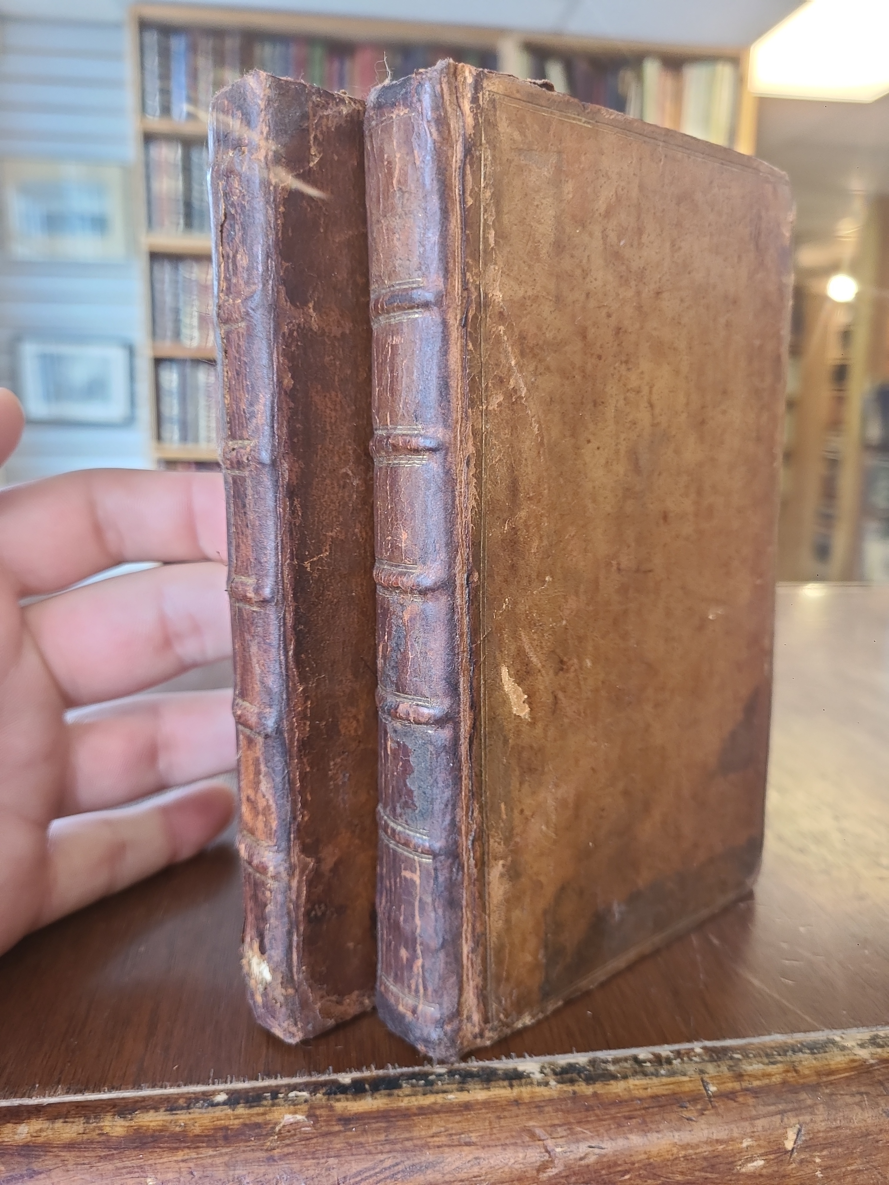 Image for Sermons to Asses and New Sermons to Asses. 2 volumes First Edition Sermons to Asses and New Sermons to Asses. 2 volumes First Edition