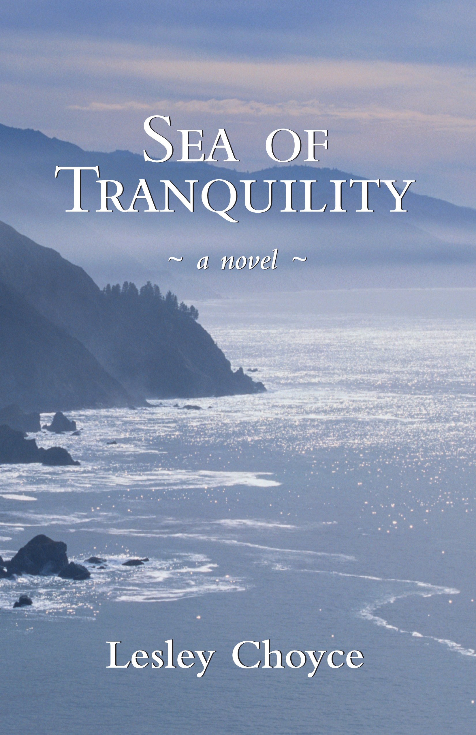 Sea of Tranquility : a novel. First Edition