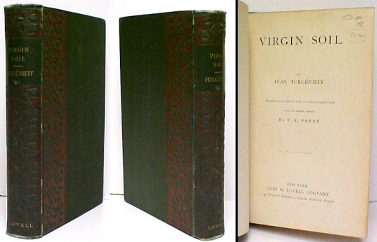 Image for Virgin Soil Translated with the author's sanction from the French version by T. S. Perry Virgin Soil Translated with the author's sanction from the French version by T. S. Perry