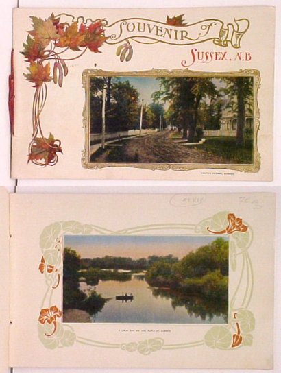 Image for Souvenir of Sussex, N.B.