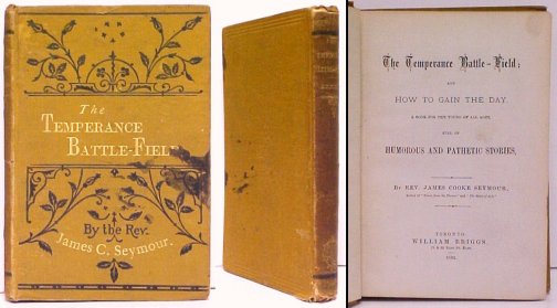 Image for Temperance Battle-Field : and How To Gain The Day Temperance Battle-Field : and How To Gain The Day