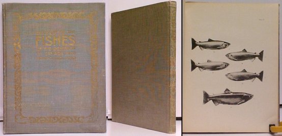 Image for Check List of the Fishes of the Dominion of Canada and Newfoundland Check List of the Fishes of the Dominion of Canada and Newfoundland