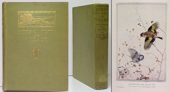 Birds in Town & Village. 1st UK no dj