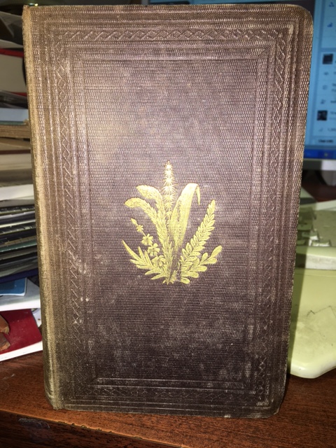 Image for Acadian Geology. First Edition
