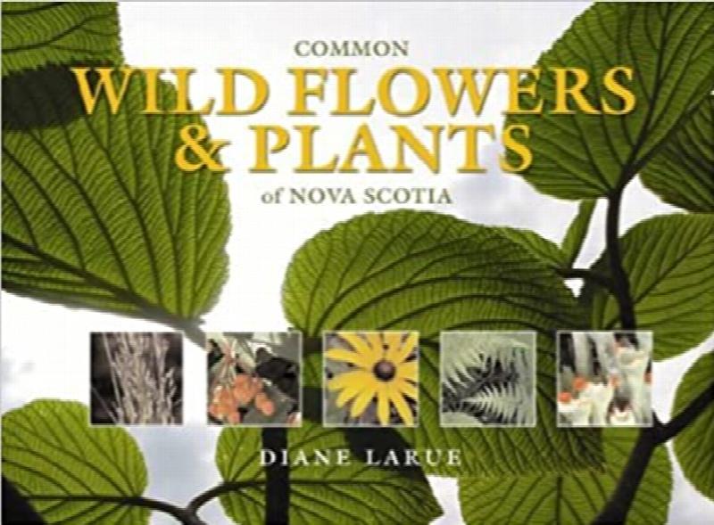 Common Wild Flowers & Plants of Nova Scotia. First Edition