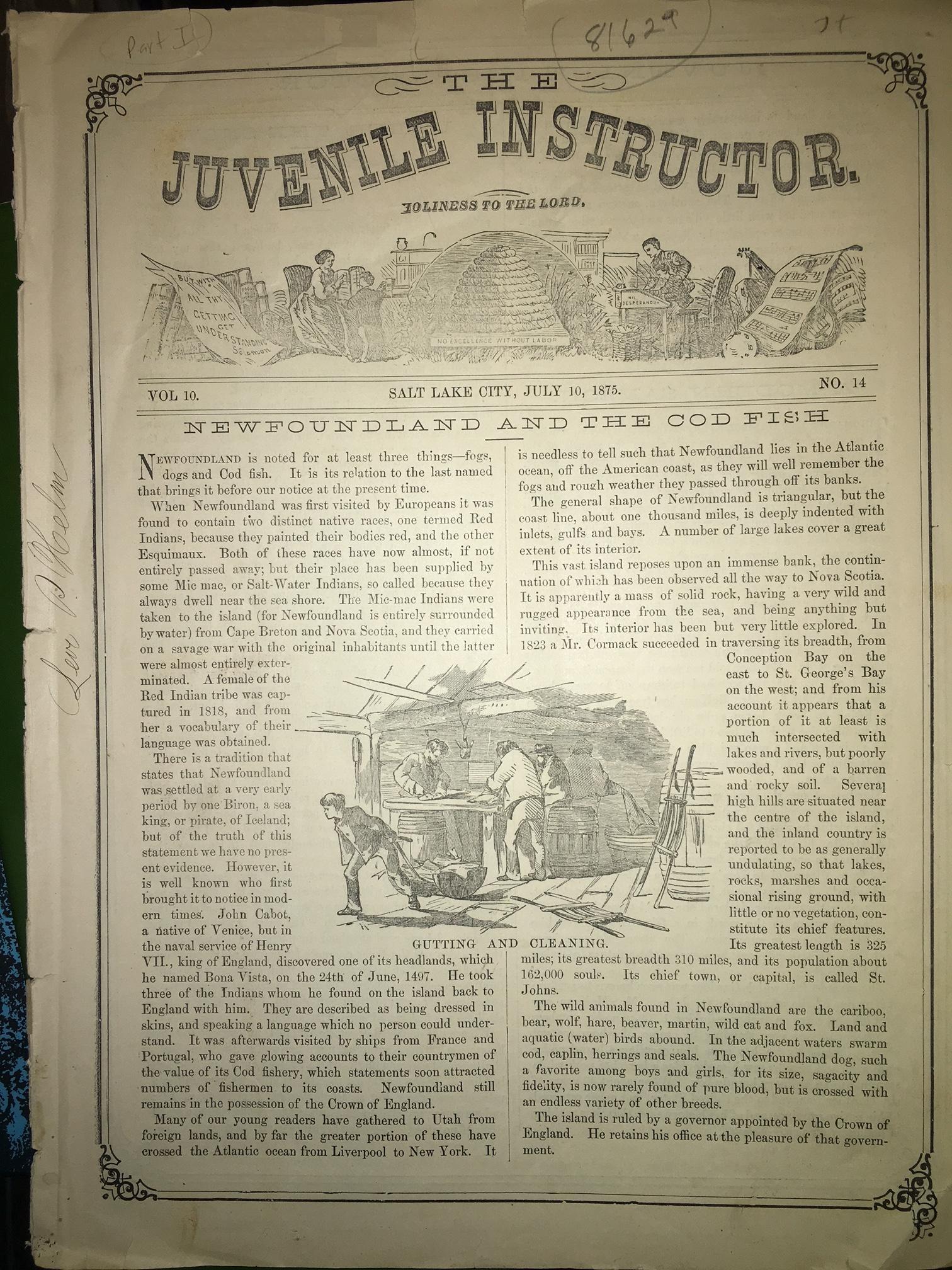 Image for Newfoundland and the Cod Fish