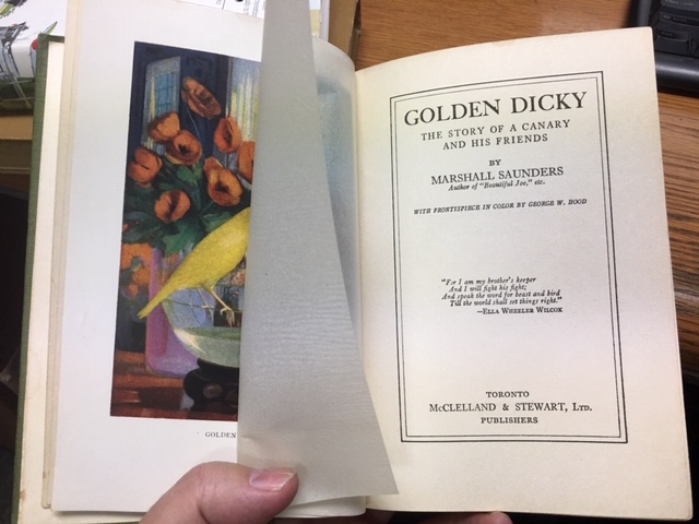Image for Golden Dicky : The Story of a Canary and His Friends. First Canadian Edition.