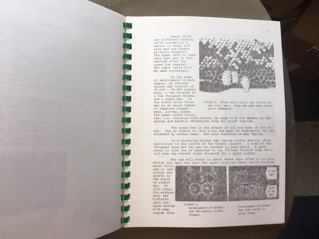 Image for Beekeeping in Nova Scotia : Apiary Management.  First Edition.