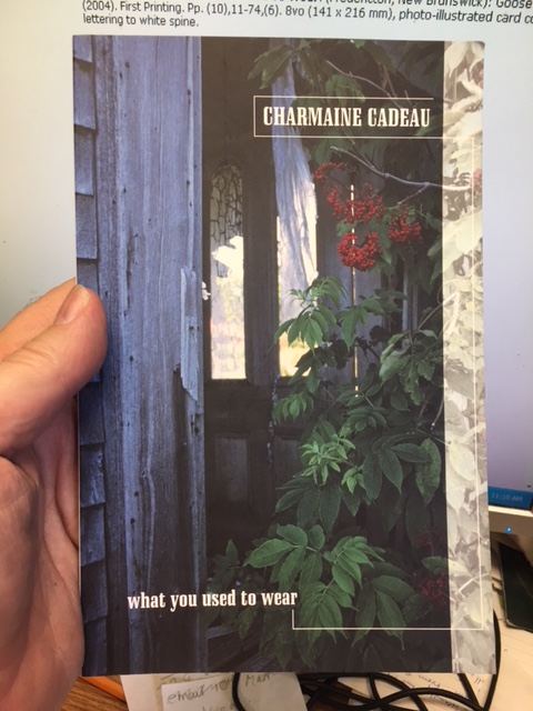 Image for What You Used To Wear. First Edition